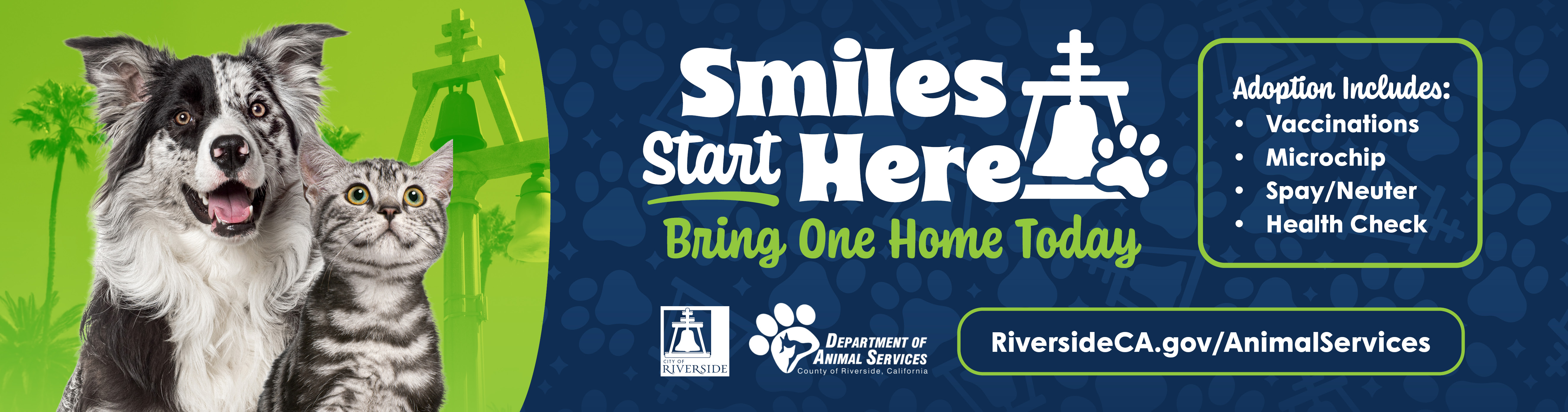 Animal Services