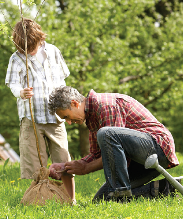 planting a tree