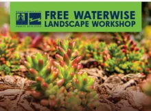 Landscape Workshop