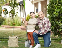 Planting a tree 
