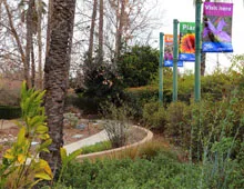 Water Wise Garden 
