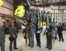 HART fake horse in sling